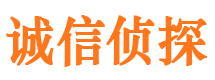 纳溪私人侦探